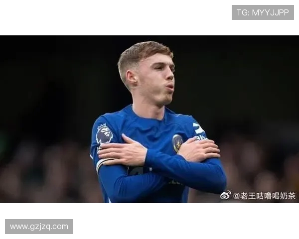 阿达拉比奥尤称帕尔默为球队最佳 红黄牌问题不会长久影响表现 阿达拉比奥尤称帕尔默为球队最佳 红黄牌问题不会长久影响表现